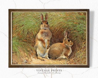 Rabbit Vintage Animal Print | Nursery Wall Art | Bunny Printable | Downloadable Art | RABBITS | #23