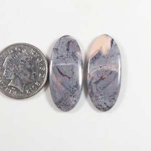 K&ouml;nnte beinhalten: Zwei ovale Edelsteine mit einem grau, rosa und braun marmorierten Muster. Eine M&uuml;nze liegt neben den Edelsteinen zum Gr&ouml;&szlig;envergleich. Die Edelsteine haben eine polierte, gl&auml;nzende Oberfl&auml;che auf wei&szlig;em Hintergrund.