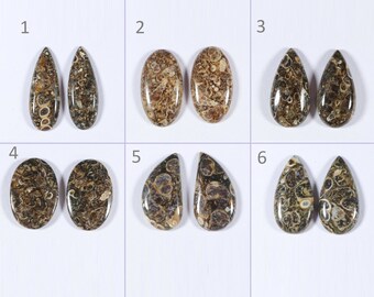 Turtella Jasper Smooth Mix Shape Cabochon Smooth Flat Bottom 1 Pair Jewelry Making Handmade Loose Gemstone Natural Turtella Jasper Pairs