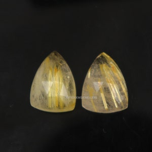 May include: Two triangular-shaped gemstones with a translucent, golden-yellow hue. The stones feature internal golden, needle-like inclusions, creating a striking visual effect. The gemstones are set against a dark background.