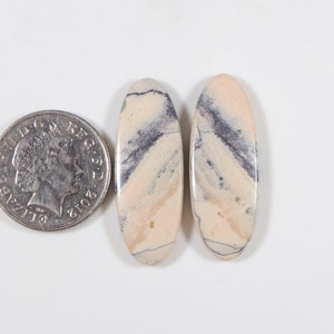 K&ouml;nnte beinhalten: Zwei ovale Edelsteine in Creme- und Lavendelt&ouml;nen mit dunkelgrauer Maserung. Eine M&uuml;nze dient als Gr&ouml;&szlig;envergleich. Die polierten Edelsteine liegen vor wei&szlig;em Hintergrund. Die Steine sind etwa 3 cm lang.