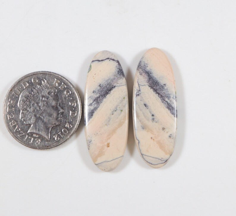 K&ouml;nnte beinhalten: Zwei ovale Edelsteine in Creme- und Lavendelt&ouml;nen mit dunkelgrauer Maserung. Eine M&uuml;nze dient als Gr&ouml;&szlig;envergleich. Die polierten Edelsteine liegen vor wei&szlig;em Hintergrund. Die Steine sind etwa 3 cm lang.