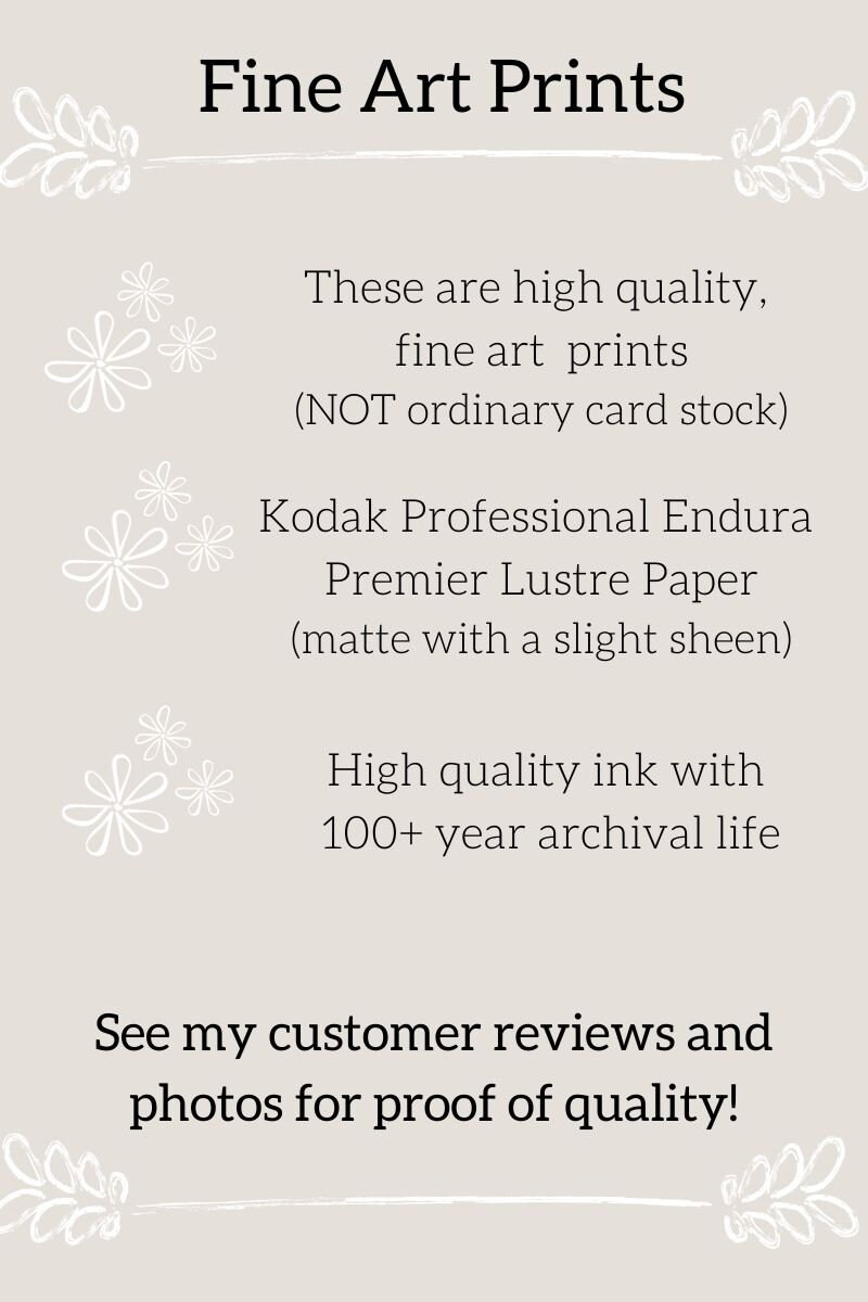 HOLE Band Print Song Lyrics Doll Parts Feminist Print Etsy UK