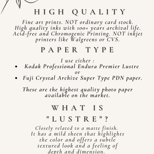 information on the fine art paper and inks