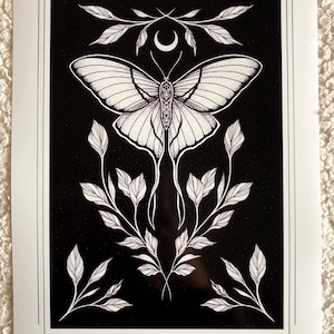 Dark Luna Moth Art Print