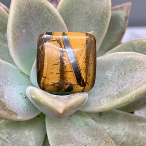 Tiger&#39;s Eye Cabochon - 12.8 carats (17 mm x 17 mm)
