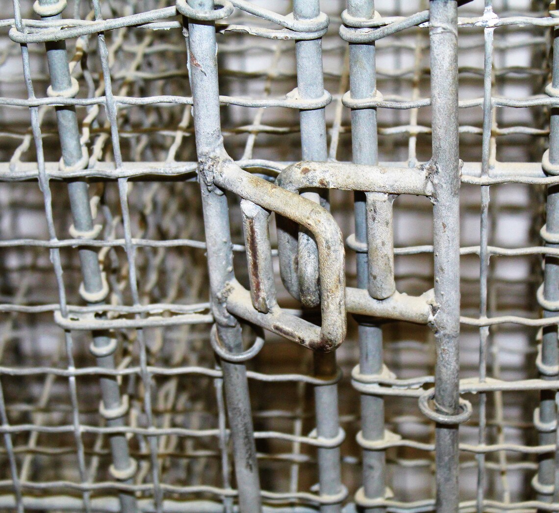 Galvanised alambre metal enjaulado caja de zapatos taquilla | Etsy