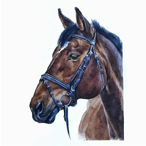 Ritratto di cavallo dipinto Regalo per il proprietario del cavallo Dipinto di cavallo personalizzato da foto Regalo per addestratore di cavalli Regalo equestre Illustrazione di cavallo personalizzata