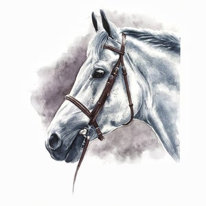 Regalo per il proprietario del cavallo Dipinto personalizzato del cavallo Regalo per la perdita del cavallo Ritratto di cavallo dipinto a mano Regalo per addestratore di cavalli Regalo equestre Ritratto equino