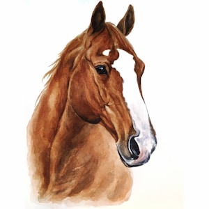 Custom horse portrait from photo