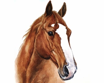 Custom horse portrait from photo