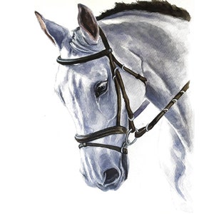 Dipinto personalizzato di un cavallo da una foto Regalo per addestratore di cavalli Ritratto di un cavallo dipinto a mano Arte del cavallo ad acquerello Regalo commemorativo del cavallo Regalo equestre