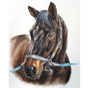 Ritratto di cavallo ad acquerello personalizzato Dipinto di cavallo personalizzato da foto Regalo per allenatore di cavalli Arte del cavallo commemorativo dipinto a mano Regalo equestre