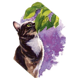 Dipinto personalizzato di un gatto da una foto Ritratto di un gatto nero ad acquerello