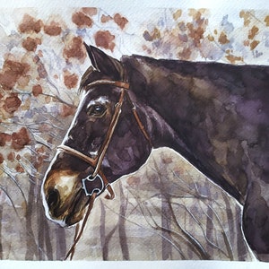 Ritratto di cavallo dipinto su misura, regalo per addestratore di cavalli, ritratto equino, decorazioni equestri per la casa, illustrazione di cavalli, regalo commemorativo per cavalli.