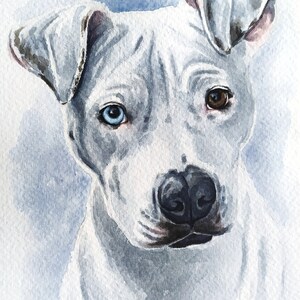 Dipinto personalizzato di un cane Ritratto di un cane ad acquerello personalizzato da una foto Regalo commemorativo per un cane Cane dipinto a mano Dipinto di un pitbull Regalo per gli amanti dei cani