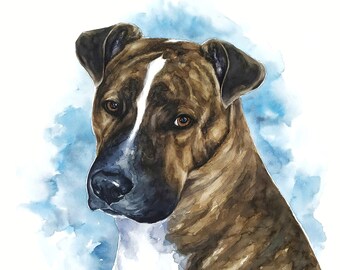 Custom dog painting Watercolor dog portrait from photo Pitbull painting Original watercolor painting Custom pet portrait Dog drawing