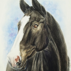 Dipinto originale ad acquerello di un cavallo Ritratto di cavallo dipinto su misura da una foto Regalo di cavallo commemorativo Disegno di un cavallo Regalo di addestratore di cavalli Equestre