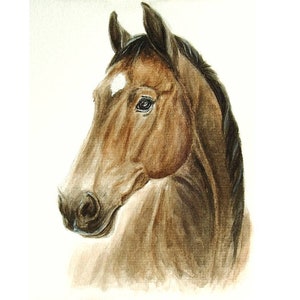 Regalo per addestratore di cavalli Ritratto di cavallo dipinto su misura da una foto Regalo commemorativo per cavallo Disegno originale di cavallo Arte personalizzata per cavalli
