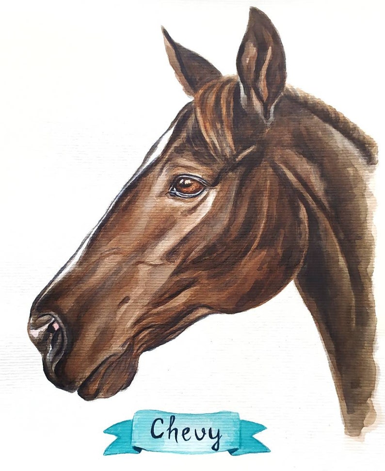 Watercolor original horse painting Custom horse portrait from photo Memorial horse gift Horse drawing Horse trainer gift image 6