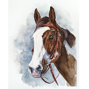 Ritratto di cavallo dipinto personalizzato da foto Regalo addestratore di cavalli Vero cavallo acquerello Regalo equestre Dipinto di cavallo personalizzato Arte equina