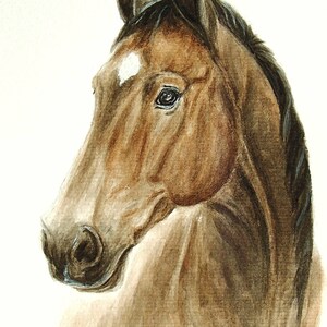 Watercolor original horse painting Custom horse portrait from photo Memorial horse gift Horse drawing Horse trainer gift image 4