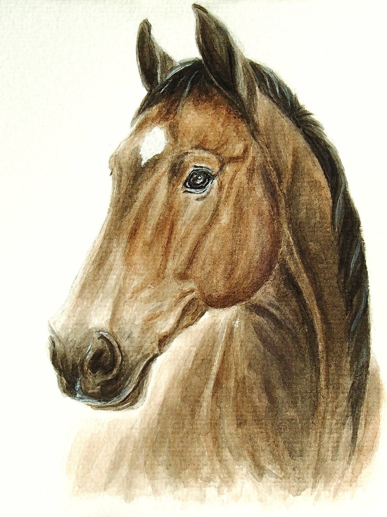 Watercolor original horse painting Custom horse portrait from photo Memorial horse gift Horse drawing Horse trainer gift image 4