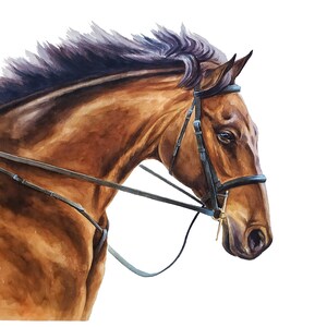 Regalo per il proprietario del cavallo Ritratto di cavallo dipinto personalizzato da una foto Regalo per addestratore di cavalli Regalo commemorativo per cavallo Dipinto equestre Ritratto equino