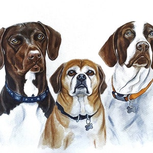 Ritratto personalizzato di tre cani da foto, regalo per il proprietario del cane dipinto a mano, regalo commemorativo per cani, dipinto del cane Kurzhaar, acquerello personalizzato per cani