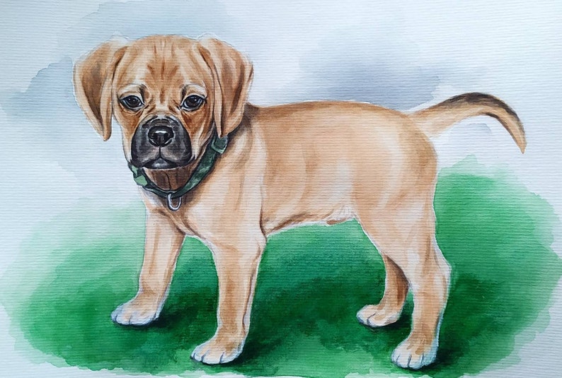 Painted portrait of a dog from photo Dog memorial gift Dog art Dog lover gift Personalized dog illustration Custom dog painting image 5