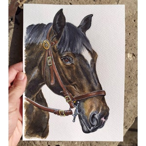 Ritratto di cavallo personalizzato da foto Disegno di cavallo dipinto a mano Ritratto equino Regalo per amanti dei cavalli Regalo per addestratore di cavalli Regalo commemorativo per cavalli