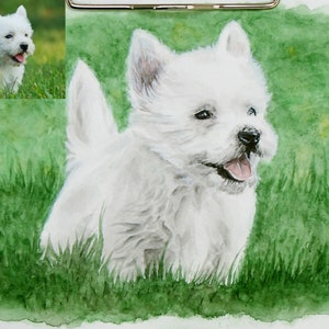 Painted portrait of a dog from photo Dog memorial gift Dog art Dog lover gift Personalized dog illustration Custom dog painting image 9