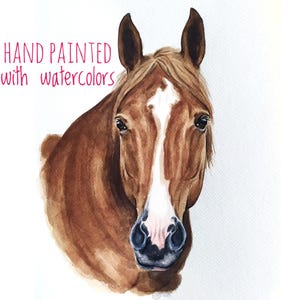 Ritratto di cavallo personalizzato ad acquerello – Regalo commemorativo per animali domestici dipinto a mano – Opera d'arte di animali personalizzata da foto – Arte murale equestre
