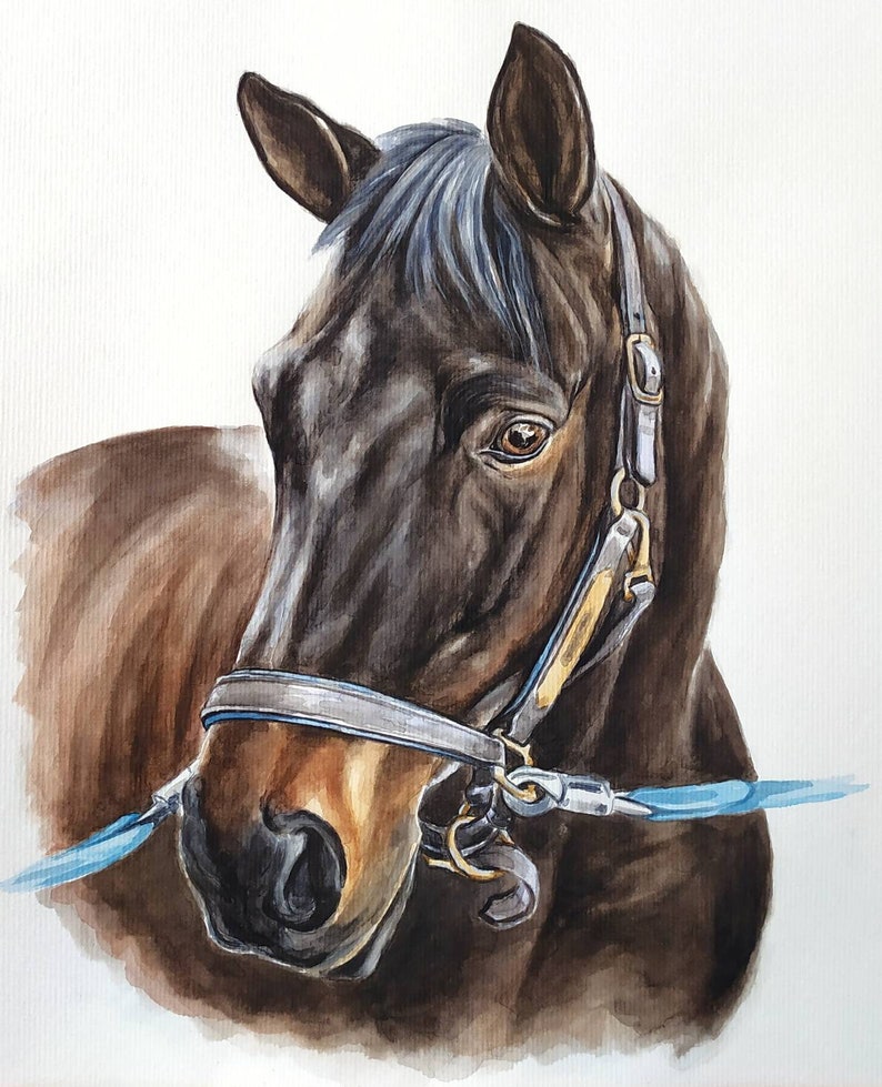 Watercolor original horse painting Custom horse portrait from photo Memorial horse gift Horse drawing Horse trainer gift image 9