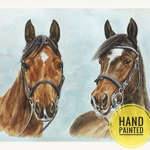 Ritratto di cavallo personalizzato, dipinto di cavallo personalizzato, regalo per il proprietario di un cavallo con acquerello reale, memoriale per cavalli, regalo per addestratore di cavalli