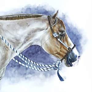 Ritratto di cavallo dipinto su misura Dipinto di cavallo commemorativo Regalo equestre Regalo per proprietario di cavallo Regalo per addestratore di cavalli Ritratto equino Disegno di cavallo