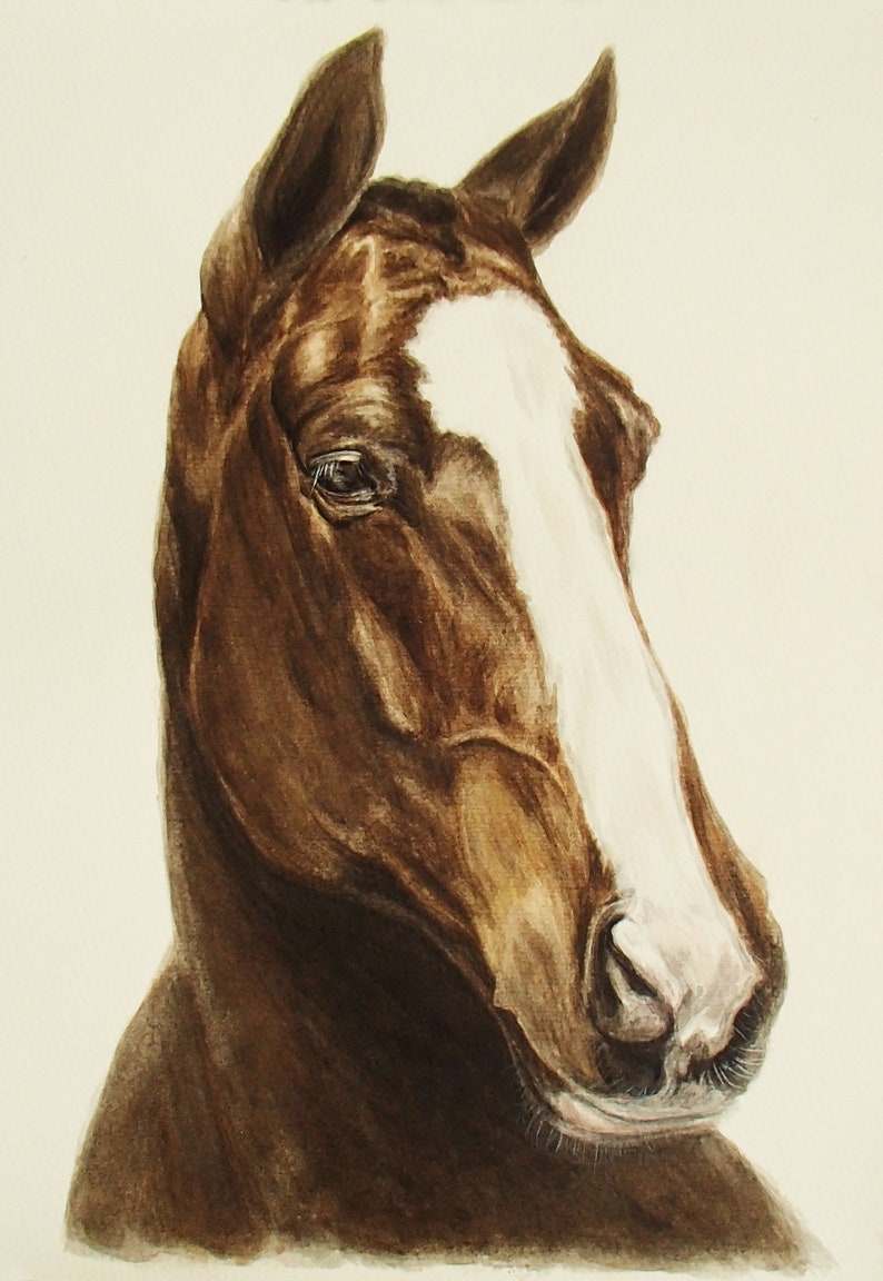 Watercolor original horse painting Custom horse portrait from photo Memorial horse gift Horse drawing Horse trainer gift image 3