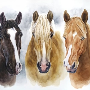 Disegno di ritratto di cavallo personalizzato Regalo per il proprietario del cavallo Ritratto di cavallo dipinto a mano Regalo per addestratore di cavalli Regalo equestre Disegno di cavallo