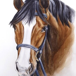 Watercolor original horse painting Custom horse portrait from photo Memorial horse gift Horse drawing Horse trainer gift image 8