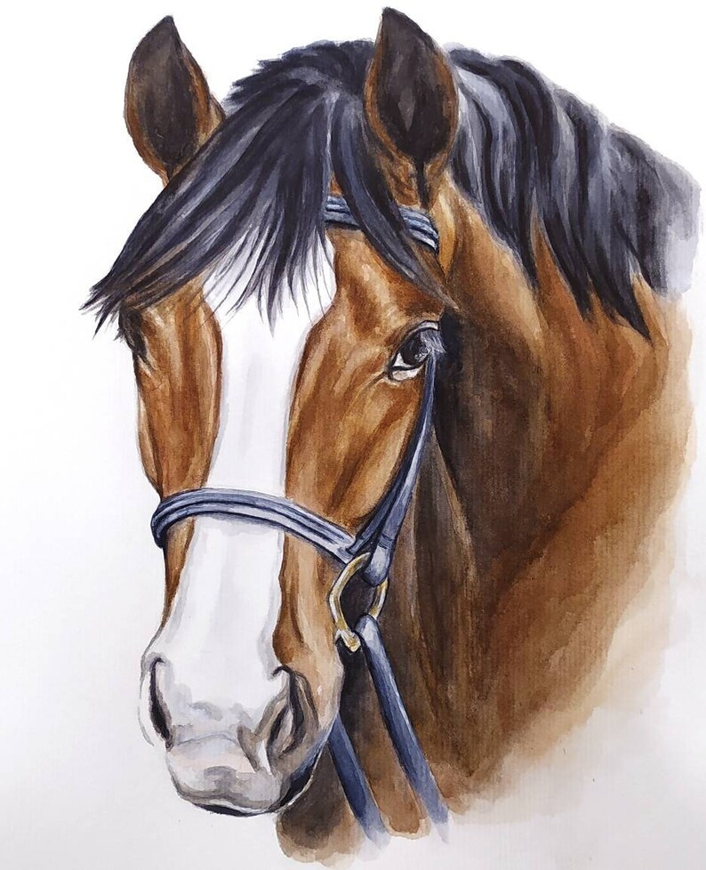 Watercolor original horse painting Custom horse portrait from photo Memorial horse gift Horse drawing Horse trainer gift image 8