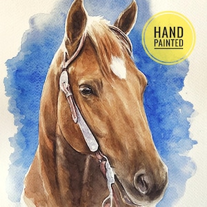 Ritratto di cavallo personalizzato da foto Disegno di cavallo dipinto a mano Ritratto equino Regalo per il proprietario del cavallo Regalo per l'addestratore di cavalli Regalo commemorativo per il cavallo