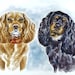 see more listings in the Two dogs custom portrait section
