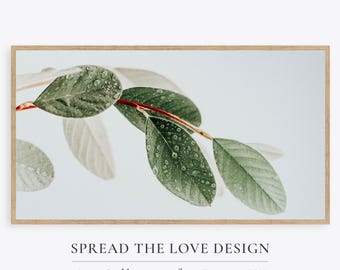 May include: A framed art print featuring a close-up of green leaves with water droplets, set against a soft white background. The leaves are on a red stem. The text "SPREAD THE LOVE DESIGN" and "Art Collection for Frame TV" are at the bottom.