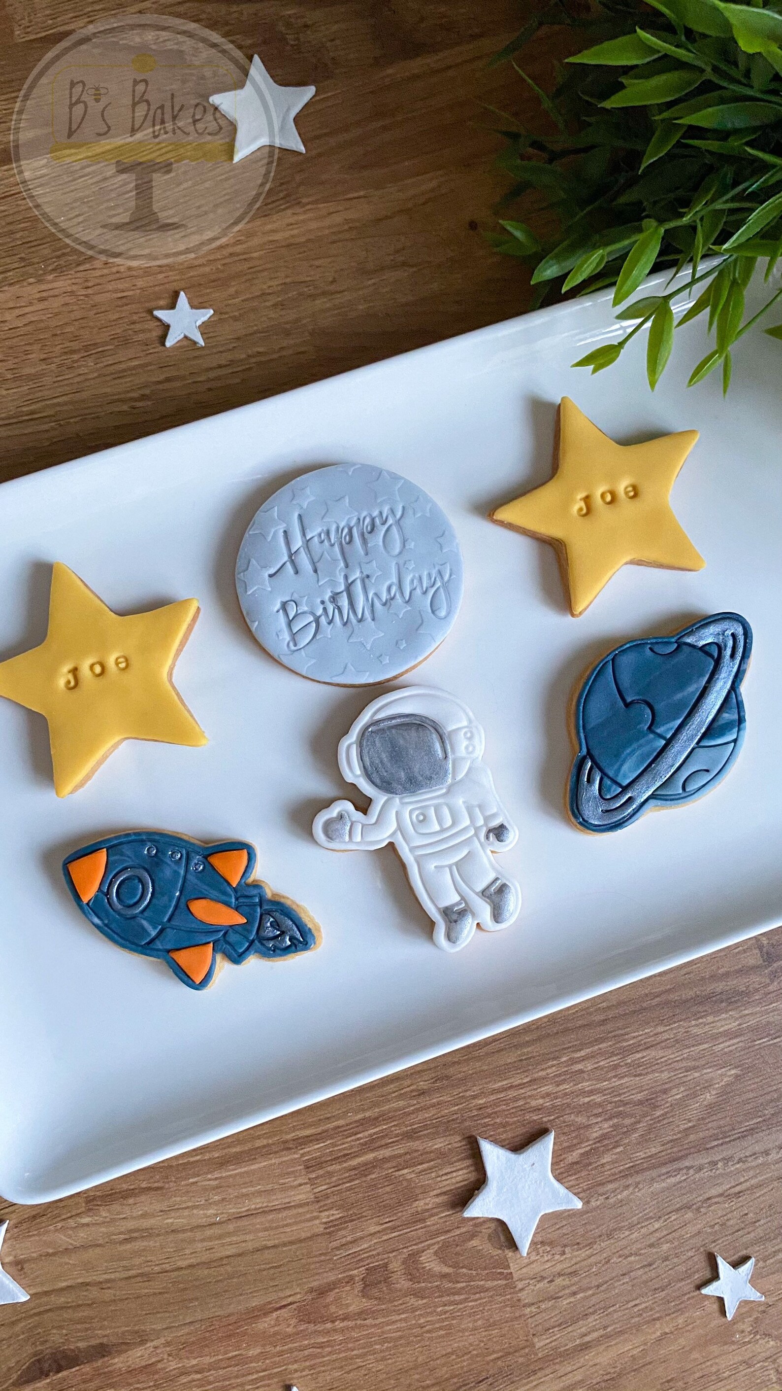 Space biscuits birthday biscuits cookies astronaut Etsy