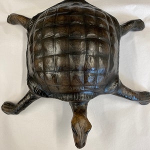 Leather Turtle