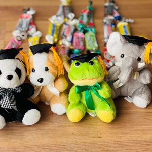 Op de afbeelding: Vier pluche dieren die een afstudeerhoed en -jurk dragen. De dieren zijn een panda, een hond, een kikker en een olifant. De dieren zitten allemaal op een houten oppervlak.