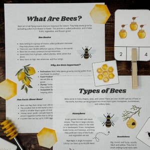 Puede incluir: Un gráfico educativo ilustrado sobre las abejas, con dibujos coloridos de abejas, panales y flores. El gráfico explica la importancia de las abejas para la polinización, la producción de alimentos y el ecosistema. También describe diferentes tipos de abejas, incluidas las abejas melíferas, los abejorros y las abejas solitarias.