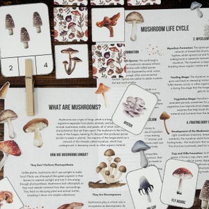 Marvelous Mushrooms Unit Study