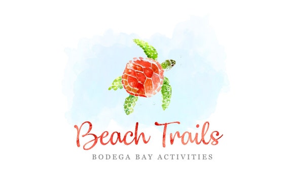 Turtle Logo Design Turtoise Logo Turtle Logos Swimming Etsy