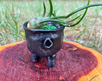 Tiny Cauldron Plant Holder - Air Plant Pot - Witchy Decor - Plant Lover Gift